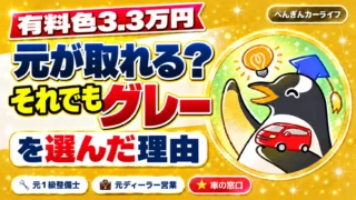 有料色3.3万円は元が取れる?それでもグレーを選んだ理由
