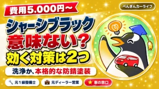 シャーシブラック塗装は意味ない？費用5,000円からと効く2つの対策